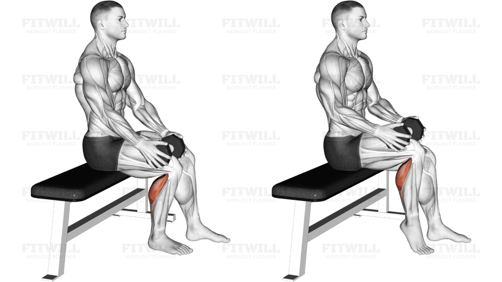 Weighted Seated Single Calf Raise (VERSION 2)