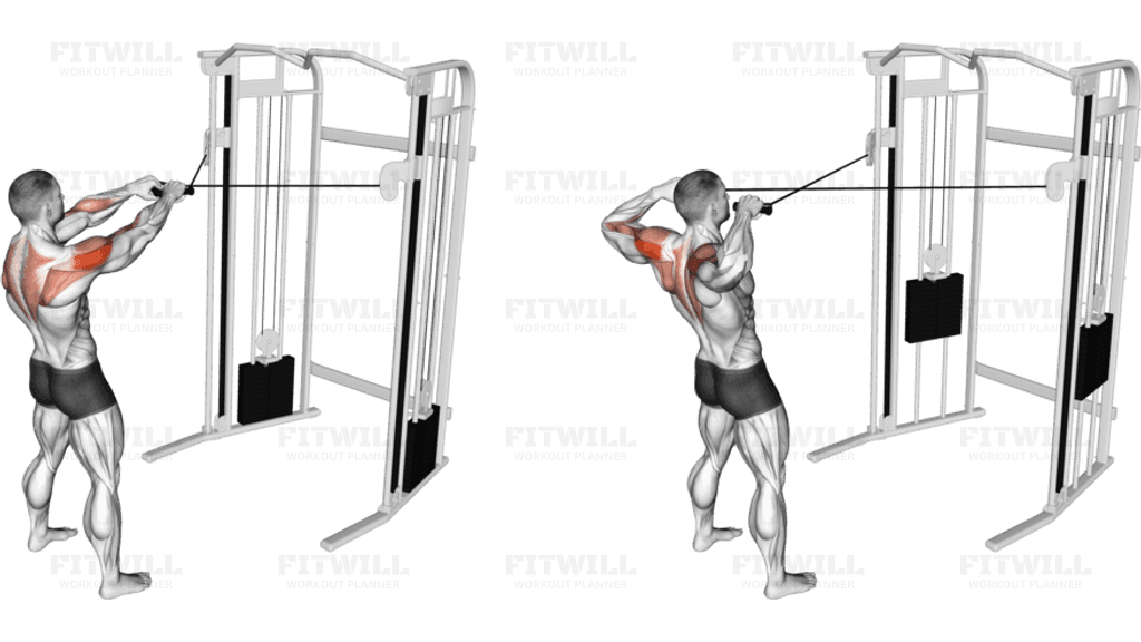 Cable Standing Face Pull