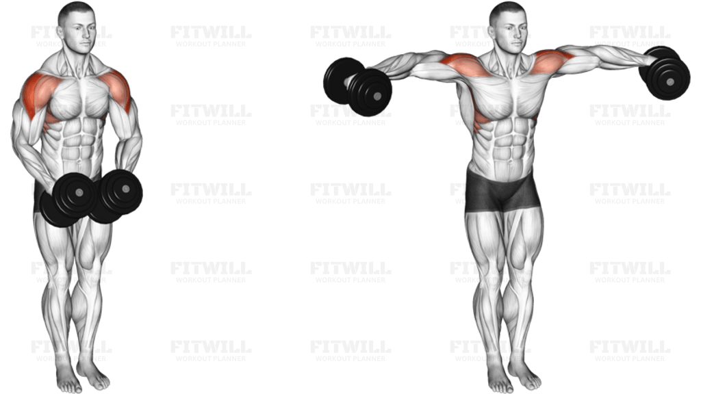 Dumbbell Standing Bent Arm Lateral Raise