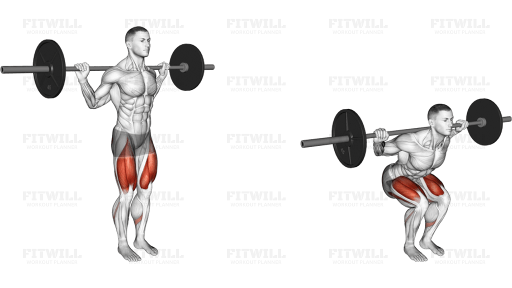 Barbell Narrow Stance Squat