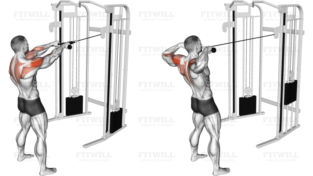 Cable Rope Standing Face Pull