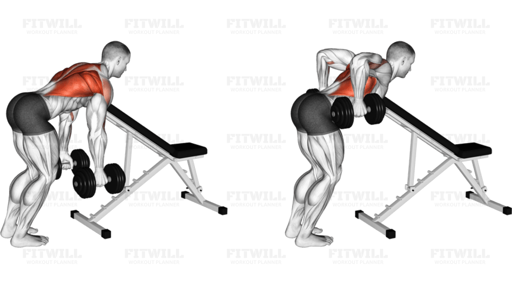 Dumbbell Bent Over Row with Chest Support