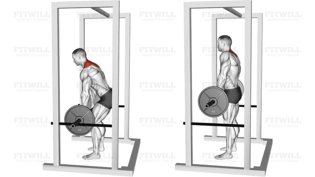 Barbell Power Shrug