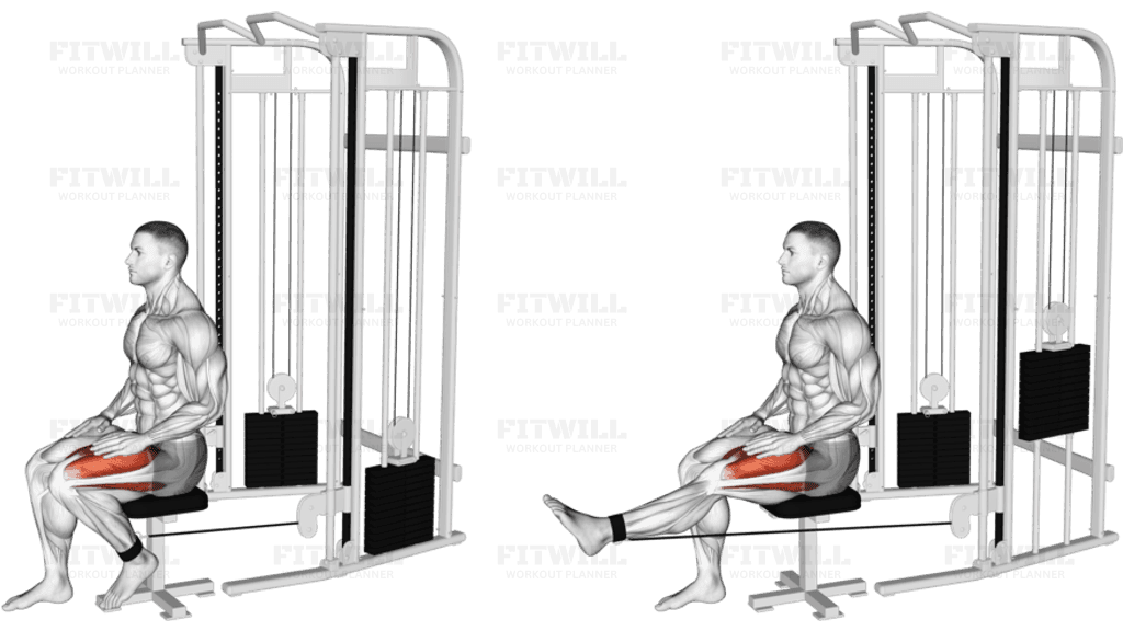 Cable Seated Leg Extension