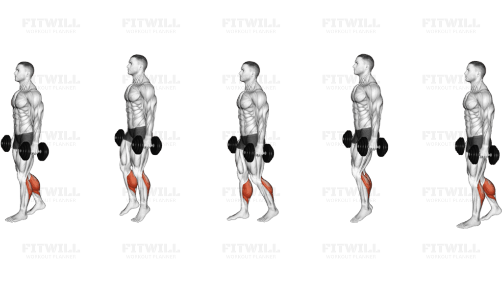 Dumbbell Walking Calf Raise