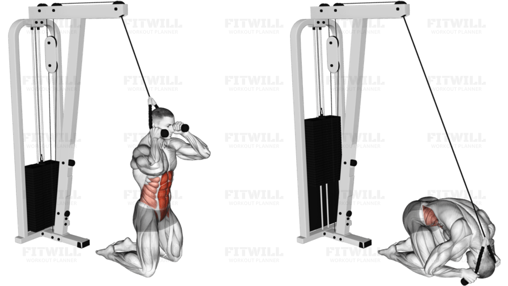 Cable Rope Kneeling Crunch