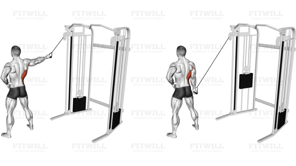 Single Arm Side Straight Arm Lat Pulldown