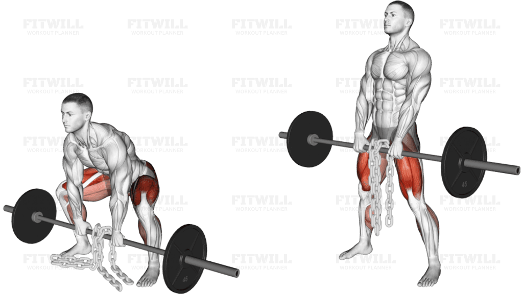 Barbell Weighted Chains Sumo Deadlift