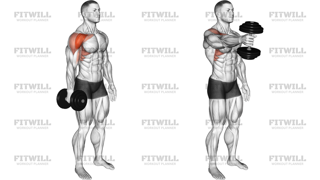 Dumbbell Single Arm Neutral Grip Front Raise