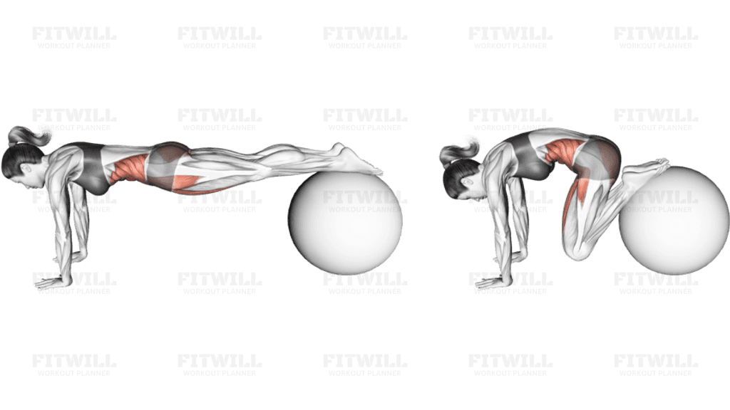 Pull In (on stability ball)