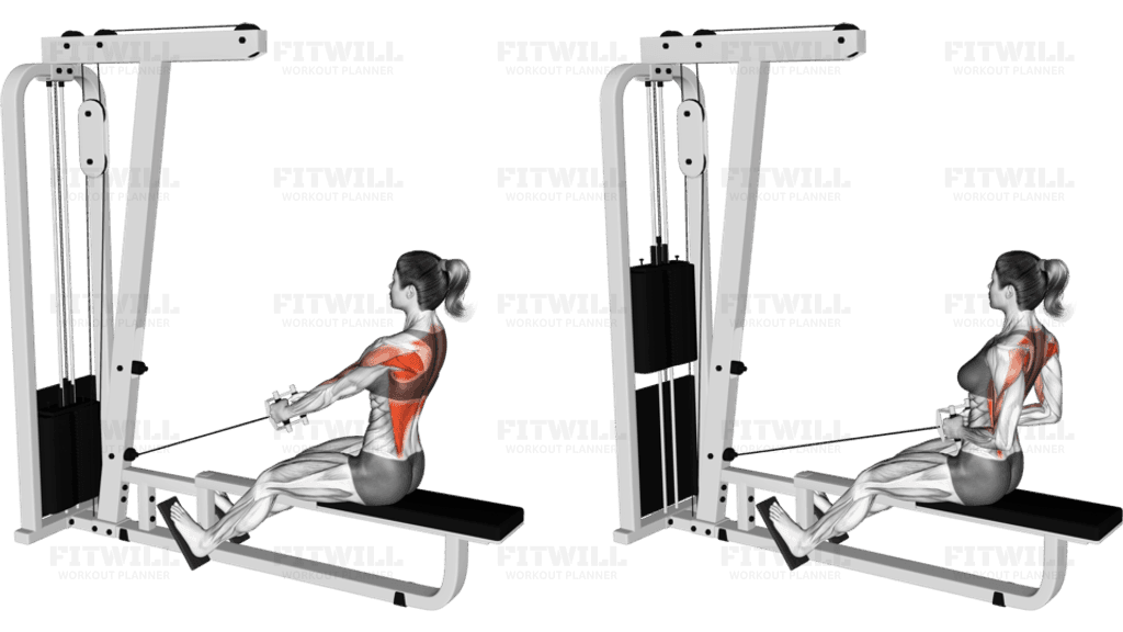 Cable Low Seated Row with V bar