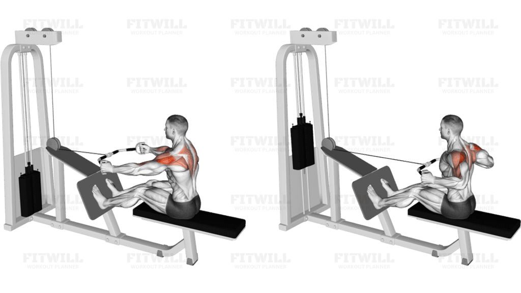 Cable Rear Delt Row (parallel bar)