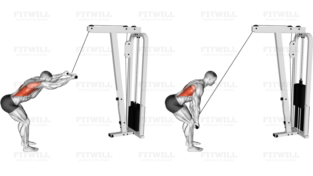 Cable Straight Arm Pulldown (VERSION 2)