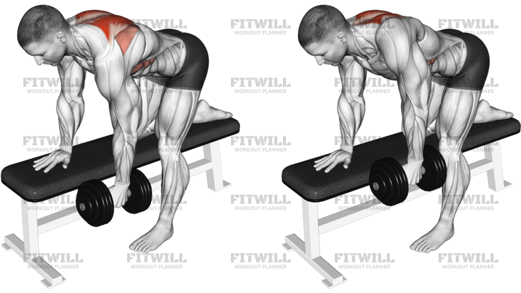 Dumbbell Bent-Over Scapula Row