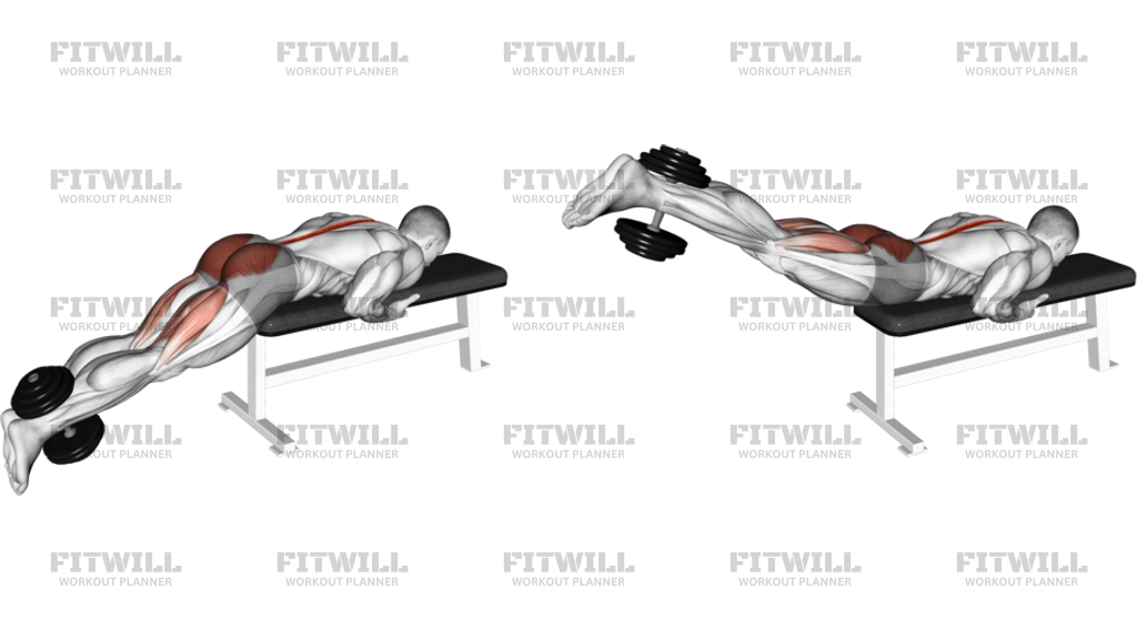 Dumbbell Reverse Hyperextension On Bench