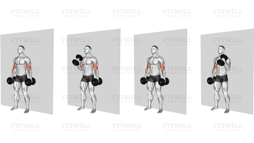 Dumbbell Alternate Hammer Srtict Curl