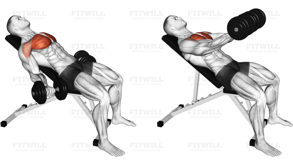 Dumbbell Incline Low Fly