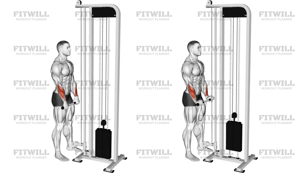 Cable Standing Wrist Reverse Curl