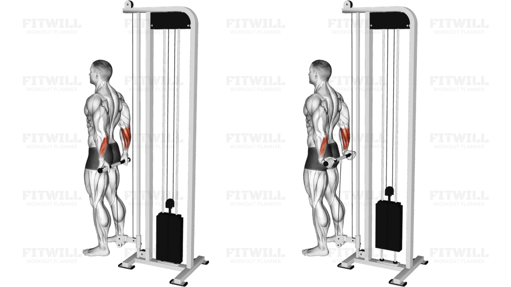 Cable Standing Back Wrist Curl