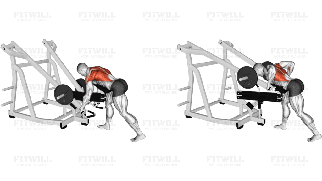 Lever Bent Over Row (with chest support)