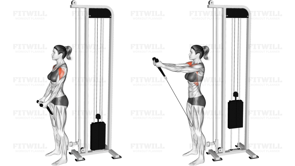 Cable Front Raise (rope attachment)