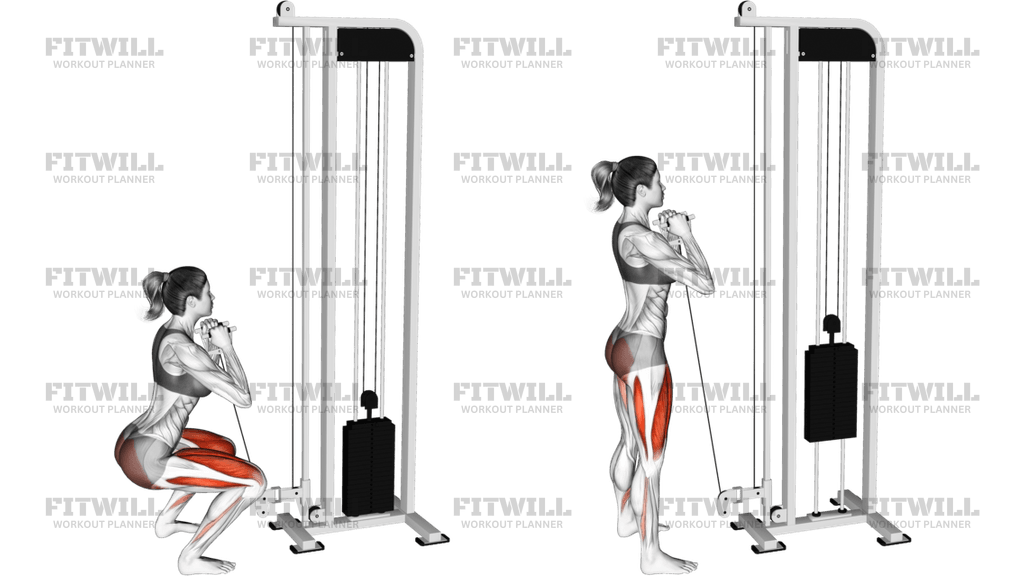 Cable Goblet Squat