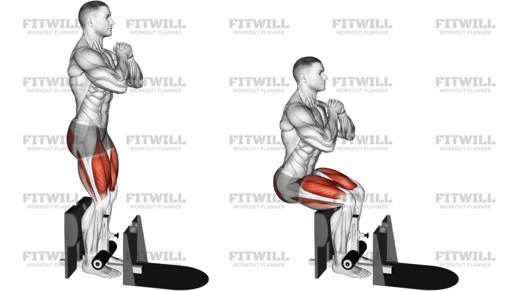 Bodyweight Supported Squat