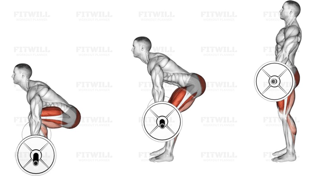 Barbell Deadlift (side POV)