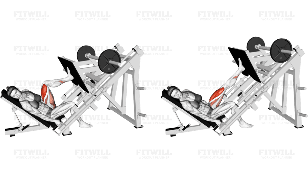 Sled Angled Single Leg Press