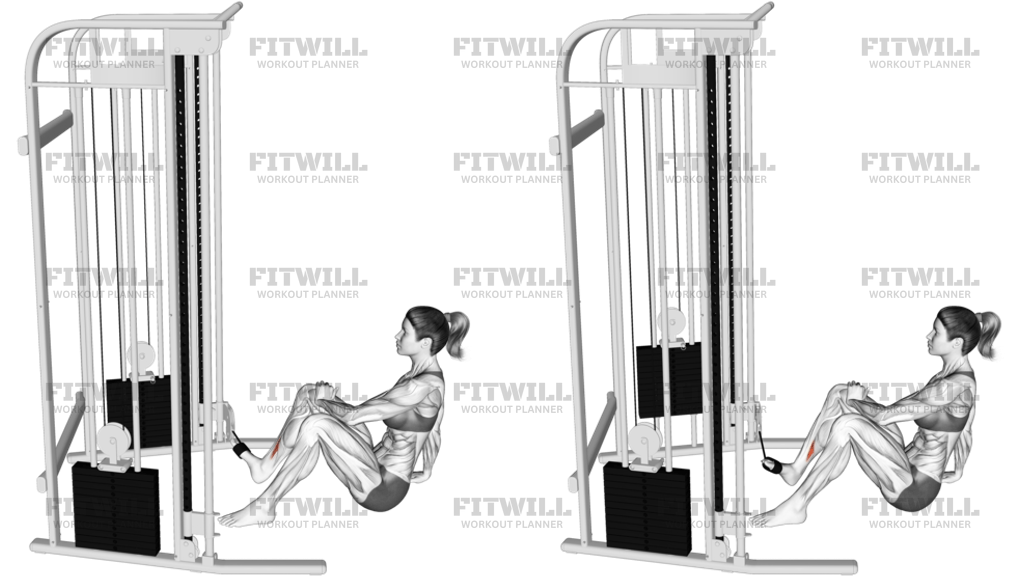 Cable Seated Foot Inversion