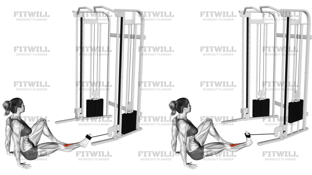 Seated Tibialis Anterior Press