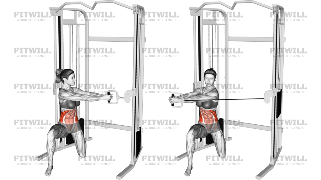 Cable Kneeling Twist