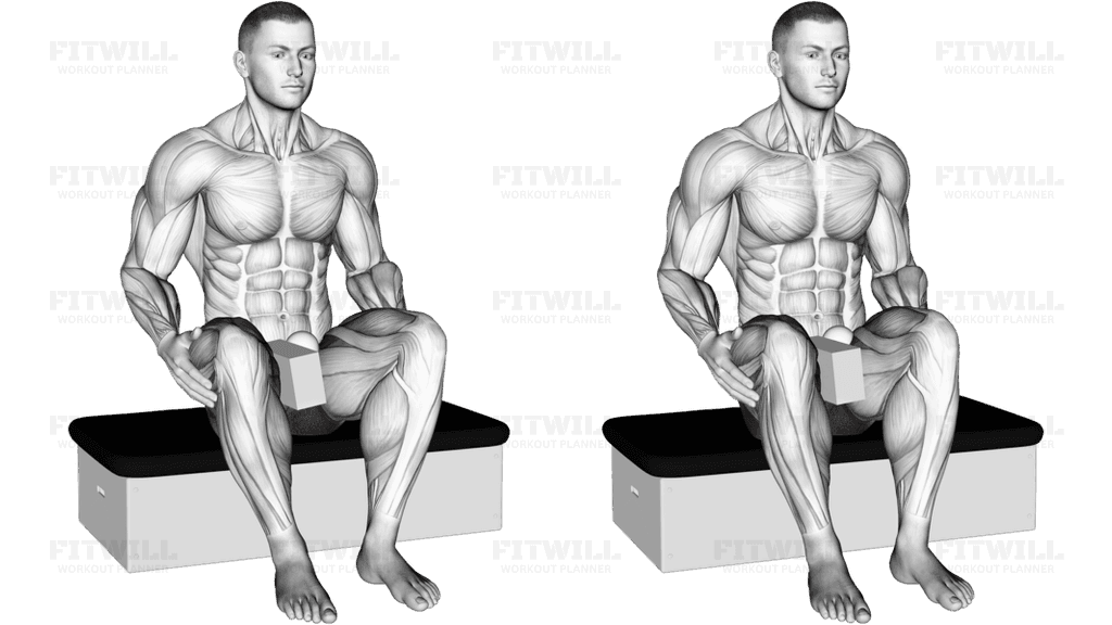 Roll Ball Seated Pectineus Activation