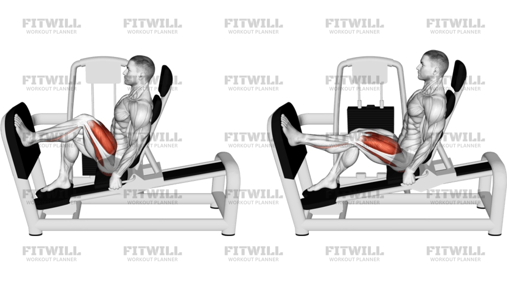 Lever Seated Single Leg Press (VERSION 2)