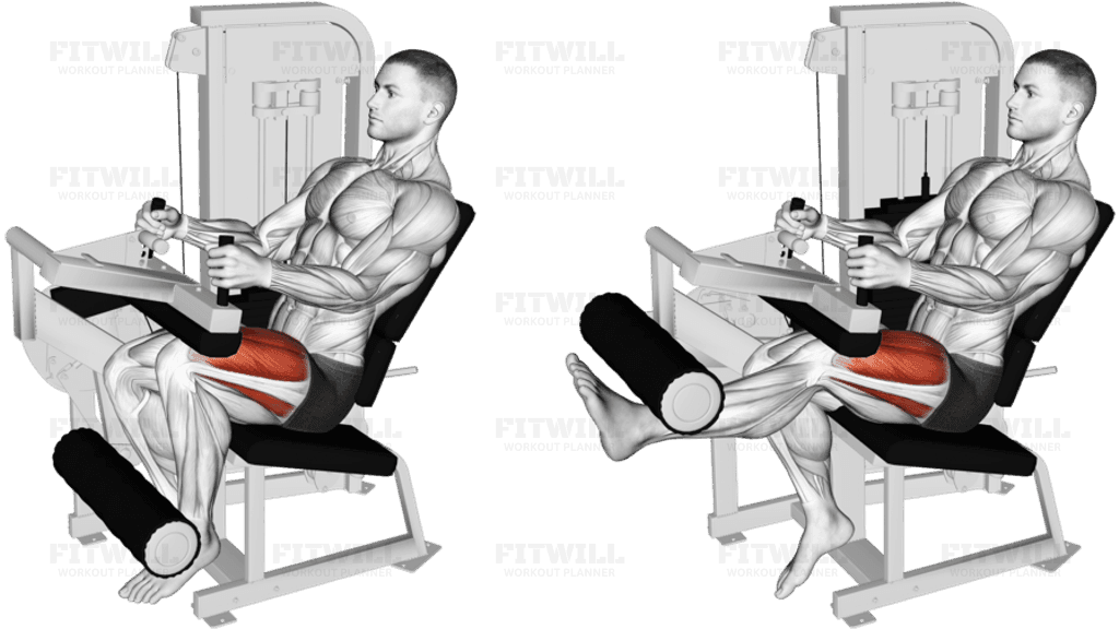 Lever Seated Leg Extension (VERSION 2)