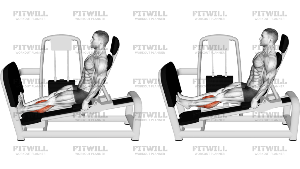 Lever Seated Calf Press (VERSION 2)