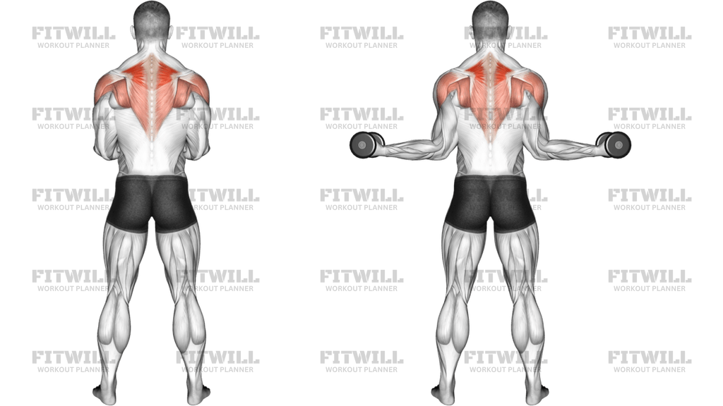 Dumbbell Standing Scapular External Rotation