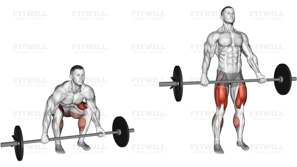 Barbell Mixed grip Deadlift