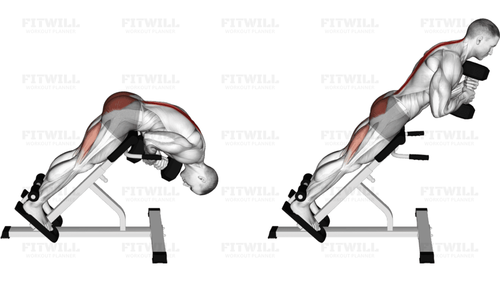 Dumbbell Hyperextension