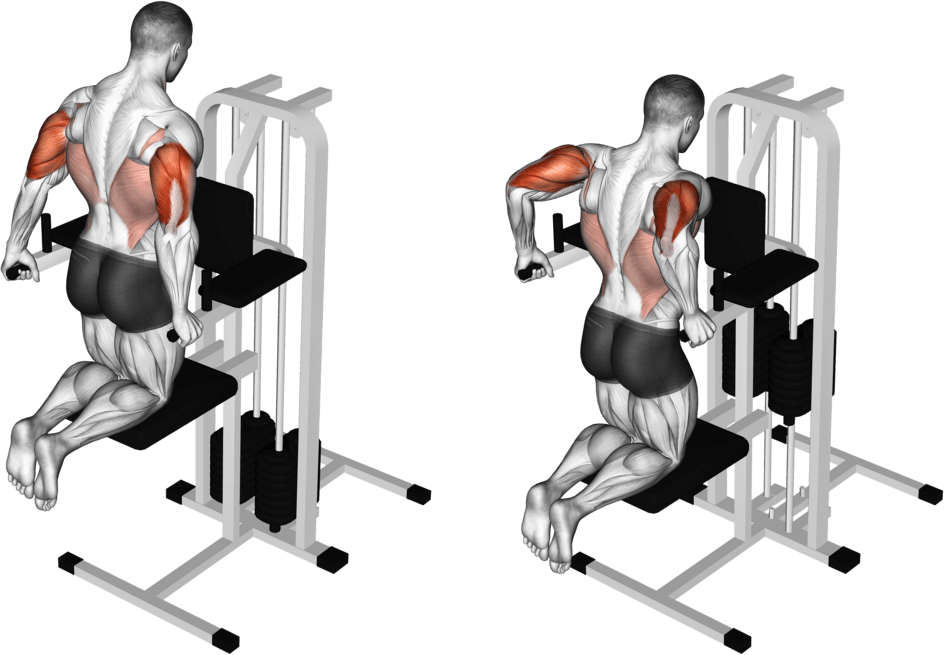 Assisted Triceps Dip (kneeling)