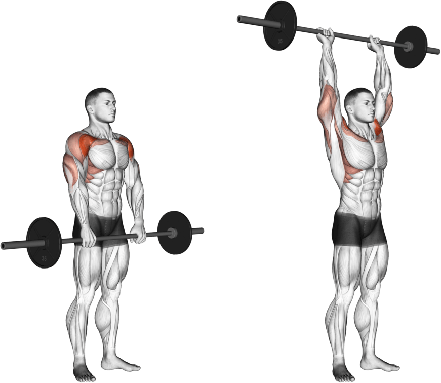 Barbell Standing Front Raise Over Head