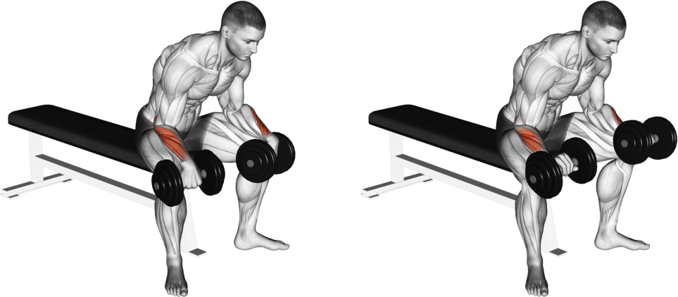 Dumbbell Reverse Wrist Curl