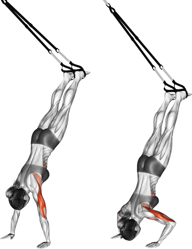 Suspension Handstand Push-up