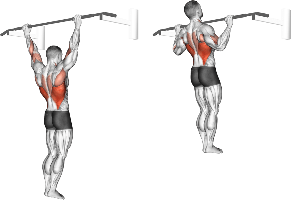 Wide Grip Pull-Up