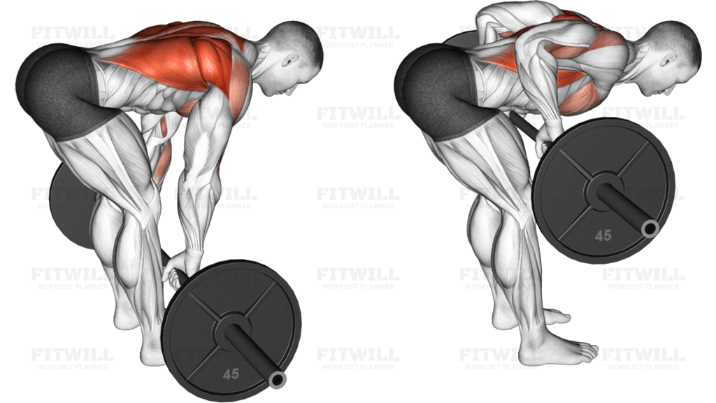 Barbell Bent Over Row