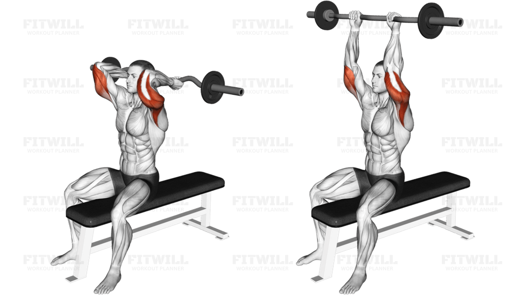 EZ Barbell Seated Triceps Extension