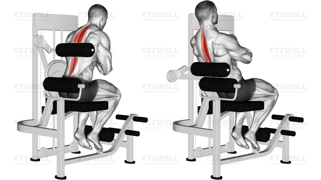 Lever Back Extension
