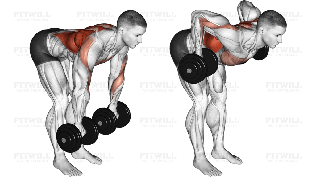 Dumbbell Palm Rotational Bent Over Row