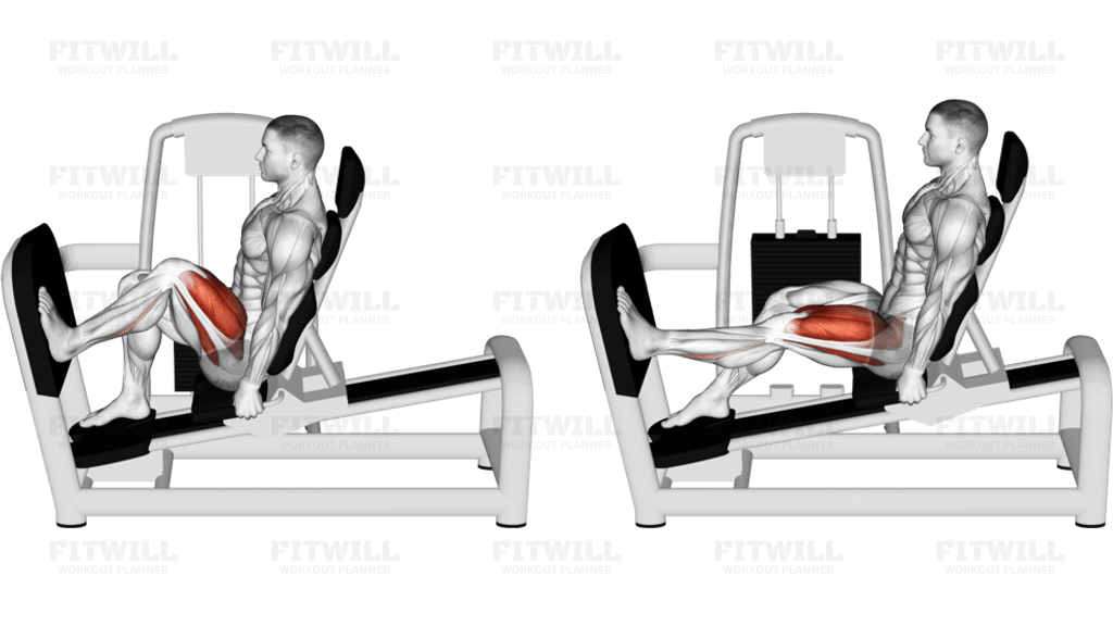 Lever Seated One Leg Wide Squat