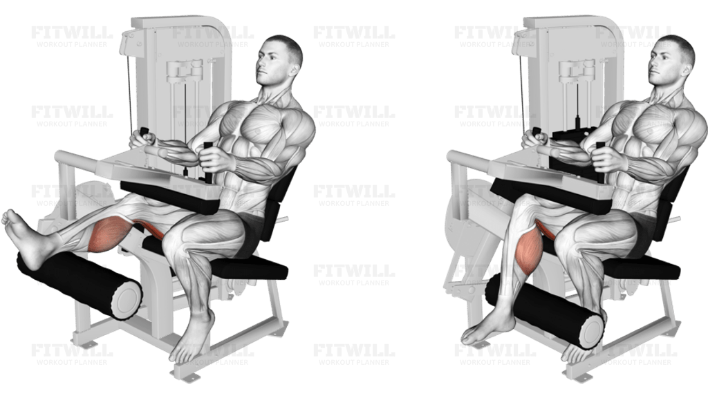 Lever Seated One Leg Curl (R)